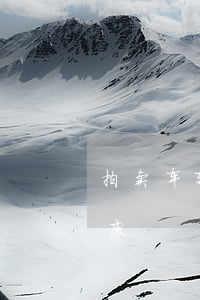 拍卖车辆年检过期（法院拍卖车逾期未年检报废）