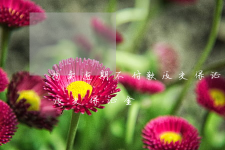 拍卖逾期不付款没交保证金（拍卖逾期不付款没交保证金）