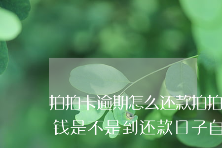 拍拍卡逾期怎么还款(拍拍贷还款失败卡里有钱,是不是到还款日子自动扣)