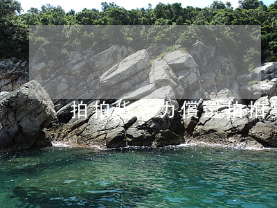 拍拍貨無力償還(拍拍貨還不上怎么辦)