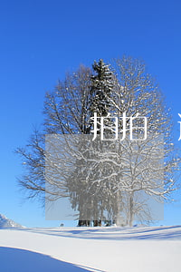 拍拍貨逾期不還款后果