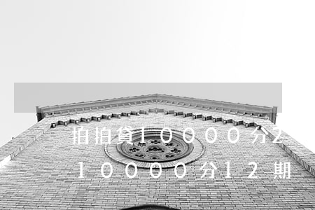拍拍貸10000分24期還款-拍拍貸借10000分12期