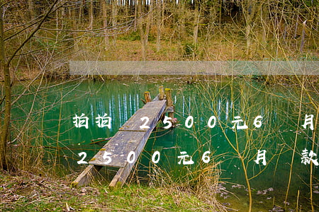 拍拍貸2500元6個月還款多少-拍拍貸2500元6個月還款多少錢