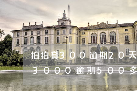 拍拍貸300逾期20天會怎么樣-拍拍貸3000逾期500多天會不會起訴?