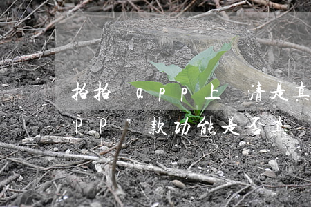 拍拍貸app上還清是真的嗎，探秘拍拍貸APP：還款功能是否真實(shí)有效？