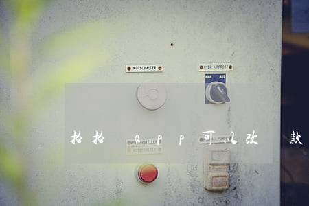 拍拍貸app可以改還款金額嗎-