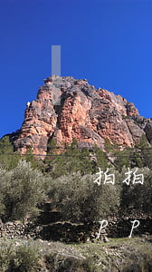 拍拍貸app登錄不了怎么還款-拍拍貸app登錄不了怎么還款呢