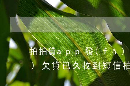 拍拍貸app發(fā)短信說(shuō)欠貸已久(收到短信拍拍貸款真的嗎)