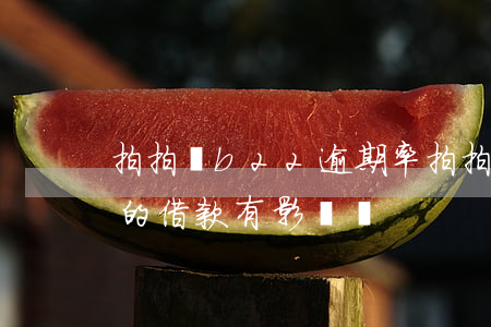 拍拍貸b22逾期率(拍拍貸逾期2天對以后的借款有影響嗎)