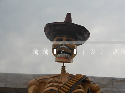 拍拍貸 c標(biāo)逾期率