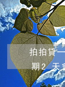 拍拍貸一千多逾期四個(gè)月(拍拍貸逾期2天會(huì)怎么樣?拍拍貸逾期后果介紹)