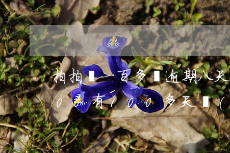 拍拍貸一百多塊逾期八天-拍拍貸逾期1000,有100多天,說(shuō)是立案