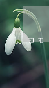 拍拍貸一般逾期多久會(huì)有催款電話-拍拍貸逾期多久會(huì)打電話給通訊錄里的人?催收流程介紹