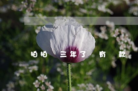 拍拍貸三年了沒有還款會怎么樣-