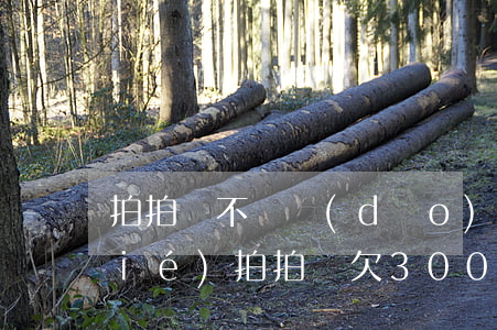 拍拍貸不還導(dǎo)致信用卡凍結(jié)(拍拍貸欠3000塊錢會(huì)強(qiáng)制銀行凍結(jié)信用卡嗎)