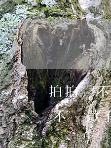 拍拍貸不還款有什么后果2021-拍拍貸不還款有什么后果2021年的