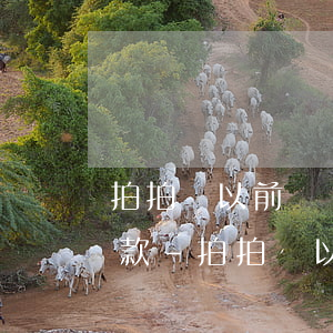 拍拍貸以前賬號(hào)登錄不上如何還款-拍拍貸以前賬號(hào)登錄不上如何還款呢
