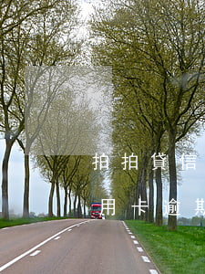 拍拍貸信用卡逾期還可以申請嗎-拍拍貸信用卡逾期還可以申請嗎安全嗎