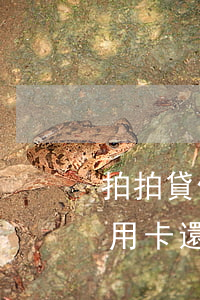 拍拍貸信用卡還款后不還會怎樣-拍拍貸信用卡還款后不還會怎樣處理