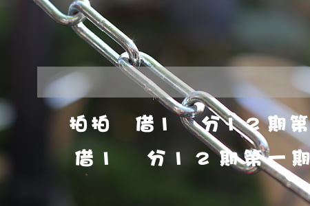 拍拍貸借1萬分12期第一期逾期-拍拍貸借1萬分12期第一期逾期了