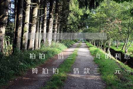 拍拍貸借三萬一年的利息是多少，計(jì)算拍拍貸借款三萬元一年的總利息：你需要知道的關(guān)鍵信息