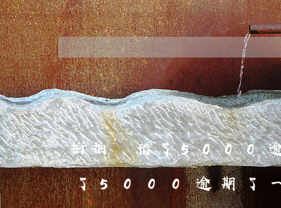 拍拍貸借了5000逾期了一年-拍拍貸借了5000逾期了一年會怎么樣