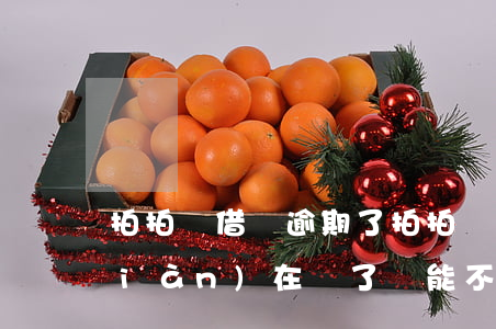 拍拍貸借錢逾期了 拍拍貸以前逾期了,現(xiàn)在還了還能不能借錢