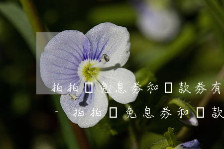 拍拍貸免息劵和還款劵有什么區(qū)別-拍拍貸免息劵和還款劵有什么區(qū)別嗎