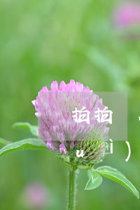 拍拍貸全面逾期一天(拍拍貸逾期一天對(duì)以后的借款有影響嗎)