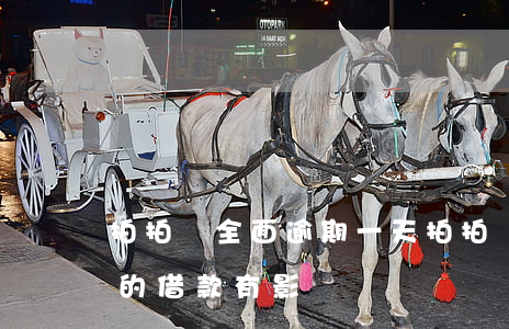 拍拍貸全面逾期一天(拍拍貸逾期一天對以后的借款有影響嗎)