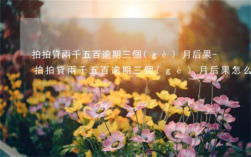 拍拍貸兩千五百逾期三個(gè)月后果-拍拍貸兩千五百逾期三個(gè)月后果怎么樣