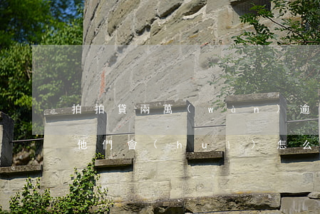 拍拍貸兩萬(wàn)逾期沒(méi)還他們會(huì)怎么樣-拍拍貸兩萬(wàn)逾期沒(méi)還他們會(huì)怎么樣呢