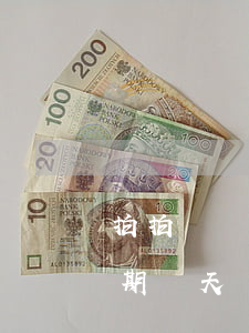拍拍貸兩萬多逾期一天上征信嗎-拍拍貸逾期兩天對以后的借款有影響嗎