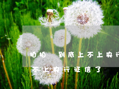 拍拍貸到底上不上央行征信-拍拍貸到底上不上央行征信了