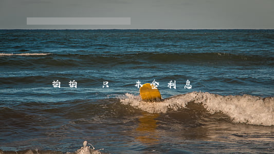 拍拍貸只還本金利息