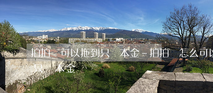 拍拍貸可以拖到只還本金-拍拍貸怎么可以只還本金