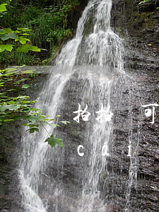 拍拍貸可以理財(cái)嗎（拍拍貸理財(cái)逾期會(huì)怎樣）