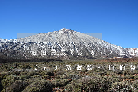 拍拍貸嚴(yán)重逾期后怎么聯(lián)系還款-拍拍貸嚴(yán)重逾期后怎么聯(lián)系還款人電話