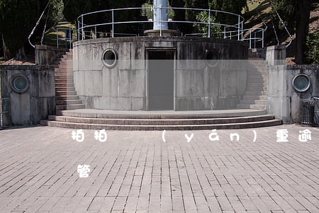 拍拍貸嚴(yán)重逾期怎么處理要不要管