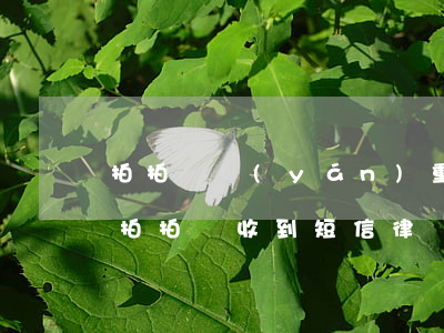 拍拍貸嚴(yán)重逾期短信收到律師函(拍拍貸收到短信律師函怎么回事兒)