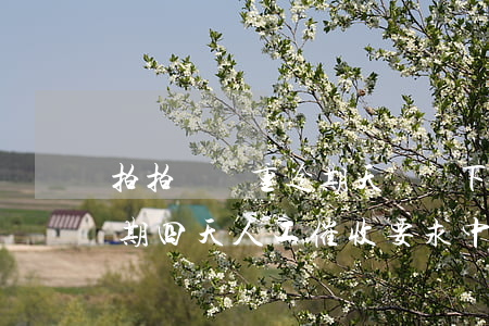 拍拍貸嚴重逾期天誠說下午上門-拍拍貸逾期四天人工催收要求中午12點還款