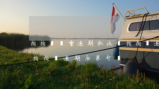 拍拍貸嚴重逾期犯法嗎(拍拍貸逾期會怎么樣?拍拍貸逾期后果介紹)