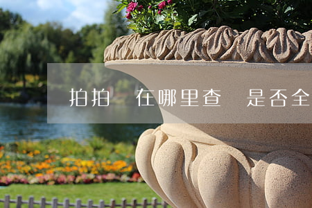 拍拍貸在哪里查詢是否全部還款-