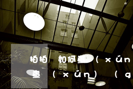 拍拍貸如何查詢(xún)出借逾期(拍拍貸查詢(xún)個(gè)人信息)