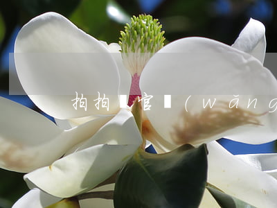 拍拍貸官網(wǎng)微信還款