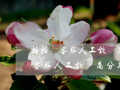 拍拍貸客服人工能協商分期還款么-拍拍貸客服人工能協商分期還款么嗎