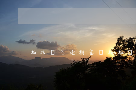 拍拍貸 已逾期客戶(拍拍貸 已逾期客戶)