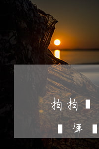 拍拍貸幾千塊錢三年了(拍拍貸上借了兩千塊兩年沒還)
