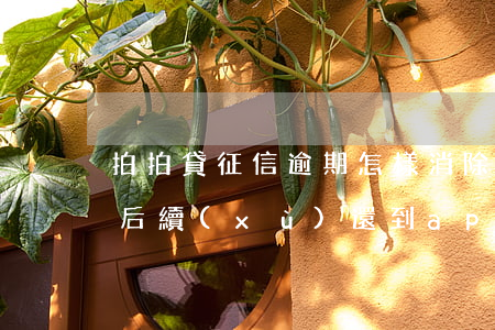 拍拍貸征信逾期怎樣消除(拍拍貸逾期上征信,后續(xù)還到app里會取消嗎)
