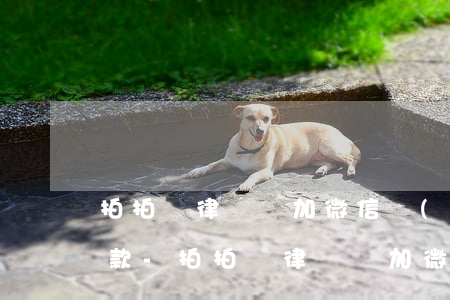 拍拍貸律師來加微信協(xié)商本金還款-拍拍貸律師來加微信協(xié)商本金還款是真的嗎